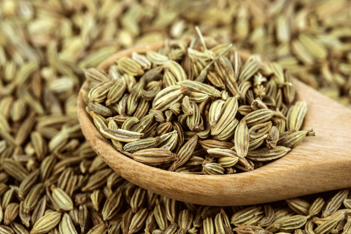 رازیانه عامل کاهش نفخ و تقویت معده در طب سنتی رازیانه عامل کاهش نفخ و تقویت معده در طب سنتی